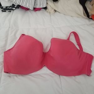 Lane Bryant corral baculate style bra